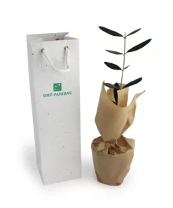 Alternative view of Plant d&rsquo;arbre dans sac biodégradable avec graines – A SEMER